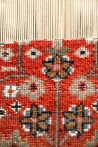 WhatsApp Image 2025-04-14 at 19.15.24 (1)